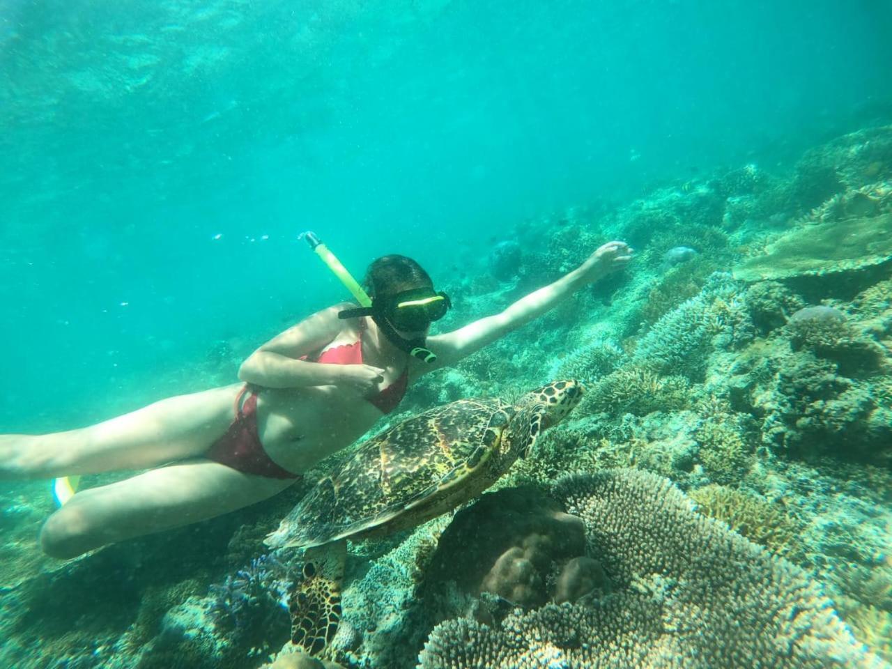 Fantastic Cottages Gili Meno Eksteriør billede