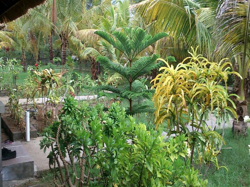 Fantastic Cottages Gili Meno Eksteriør billede